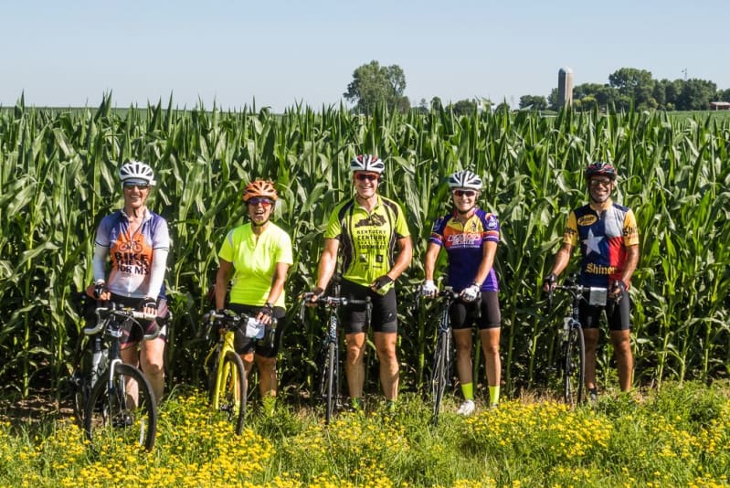 Cyclists stand with their bikes in front of corn as high as an elephants eye